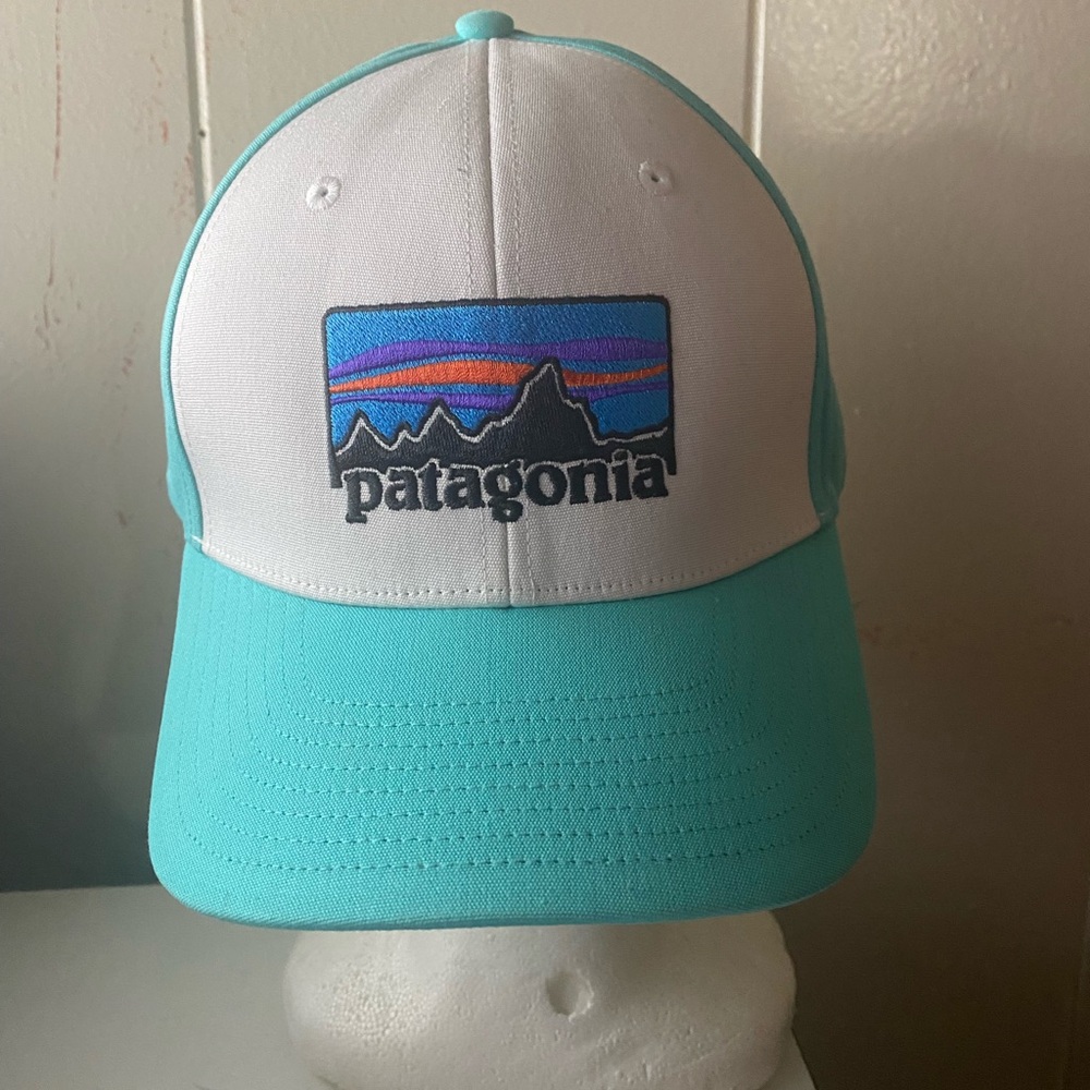 Patagonia Aqua and White Mountain Logo Hat